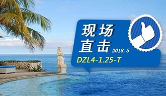 現(xiàn)場(chǎng)直擊丨看生物質(zhì)鍋爐在巴厘島如何強(qiáng)操作，回頭客非它不選