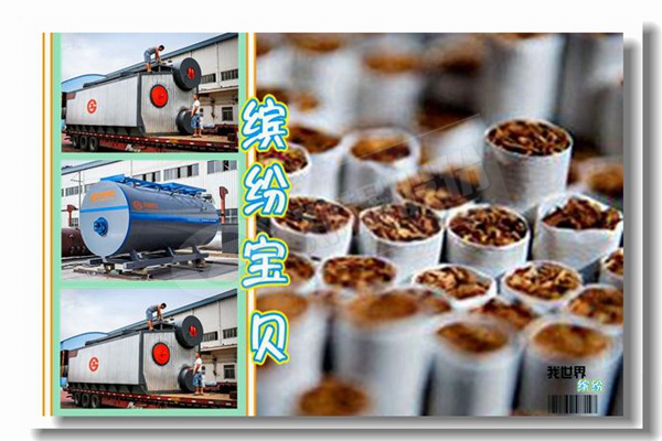 國(guó)內(nèi)鍋爐廠(chǎng)家有哪些？如何選擇？